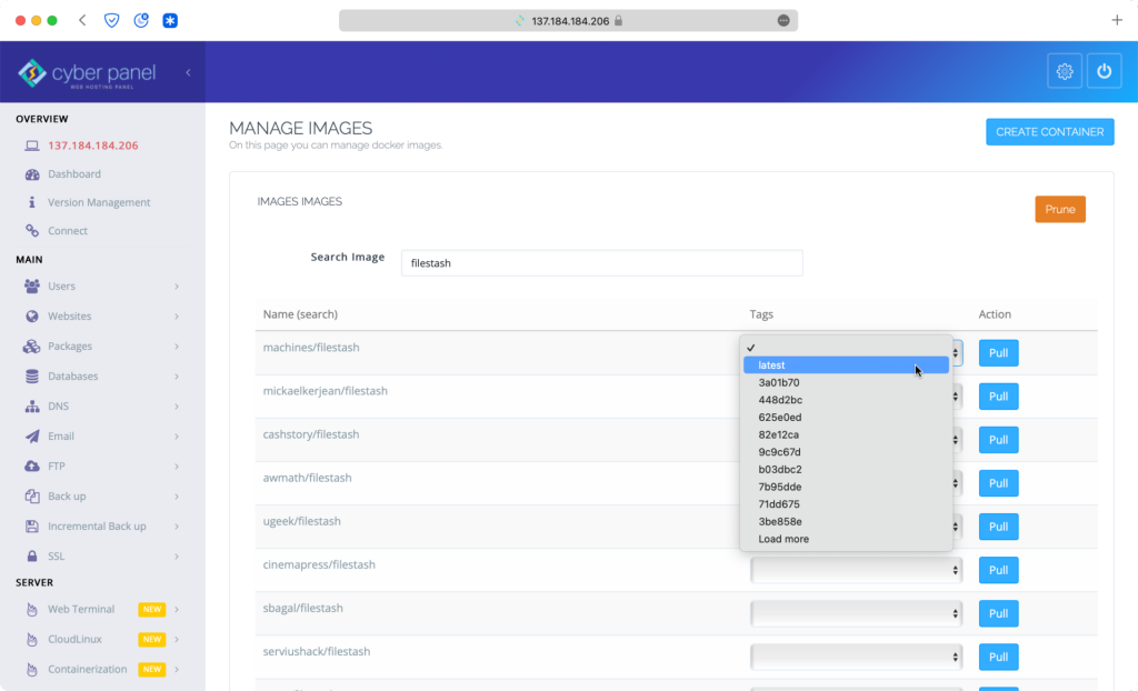 Screen shot of installing a Filestash docker container.